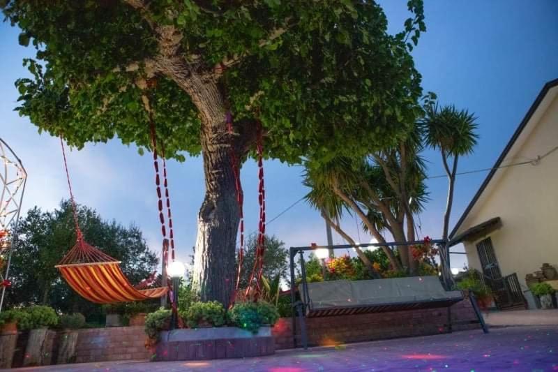 Casa Di Nunzia Daire Caiazzo Dış mekan fotoğraf